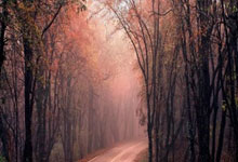 今晚巴黎圣日耳曼的比赛结果会如何？阵容、对手与关键因素全解析